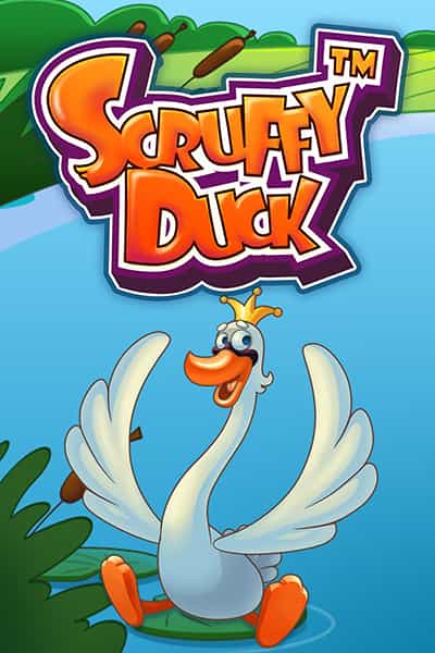 Scruffy Duck